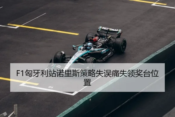 xiong-ya-li-zhan-nuo-li-si-ce-lve-shi-wu-tong-shi-ling-jiang-tai-wei-zhi-3-295.jpg