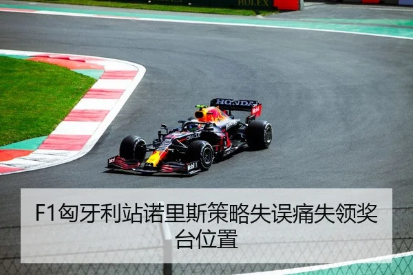 F1匈牙利站诺里斯策略失误痛失领奖台位置